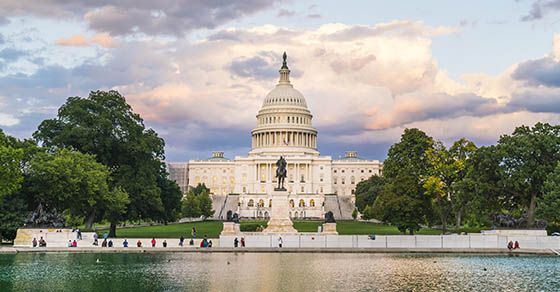 Potential Tax Legislation in the New Congress